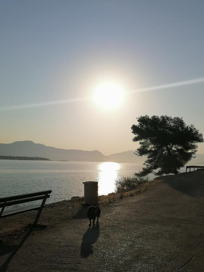 Apartmani Barnjak Trogir Exterior foto